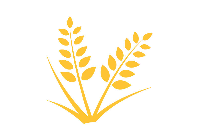 800x566 Wheat Free Vector
