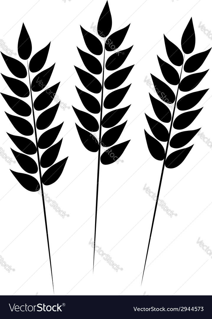 718x1080 Wheat Icon Vector