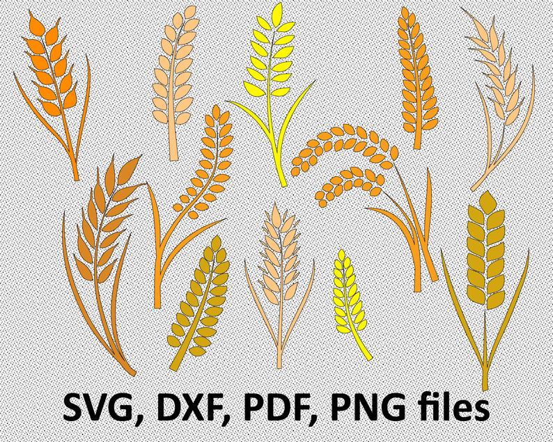 794x635 Wheat Gra Wheat Clipart Cricut Etsy