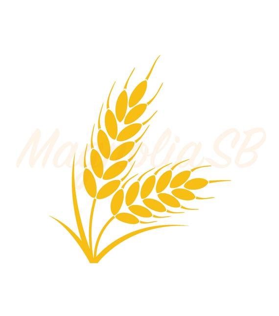 570x646 Wheat Wheat Dxf Wheat Clipart Wheat Cutting Vector Etsy