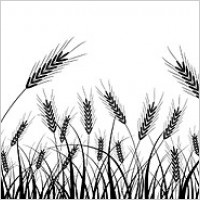 200x200 Wheat Silhouette Vector For Free Download Free Vector