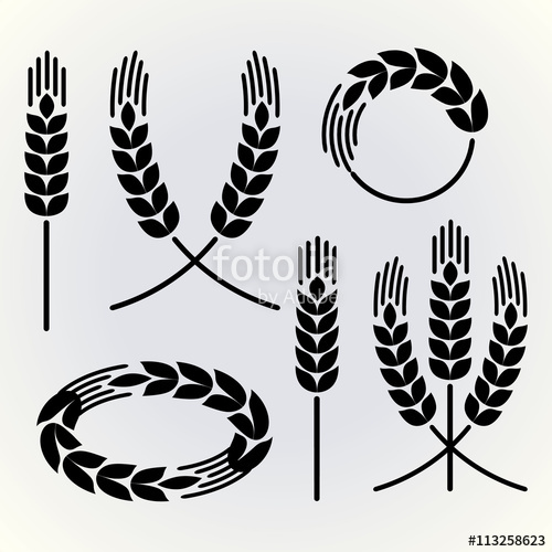 500x500 Wheat Silhouette Illustration Vector Stock Image And Royalty Free