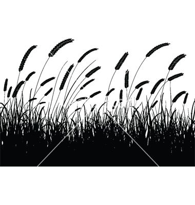 380x400 Wheat Silhouette Vector