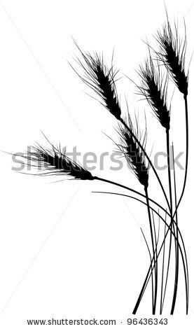 277x470 Stock Vector Illustration With Wheat Silhouettes Isolated