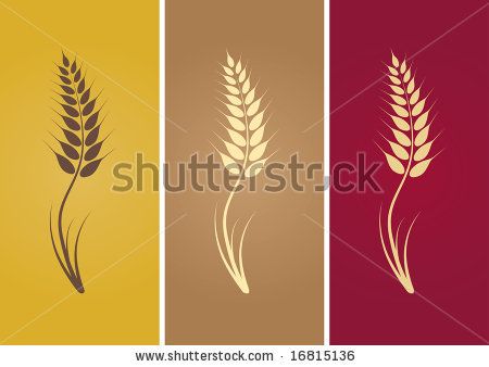 450x338 Stock Vector Wheat Silhouette Diy Wheat Tattoo, Wheat