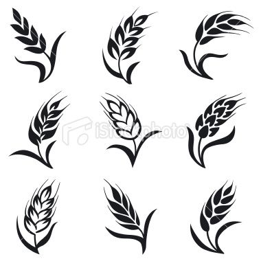 380x380 Cereal Ears, Set Of Different Styles Wisconsin Inspiration