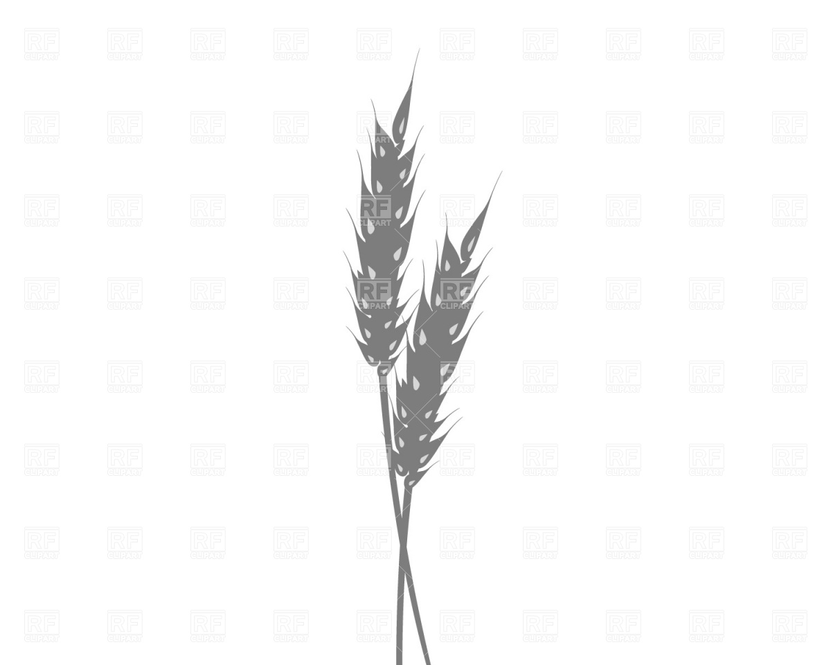 1200x960 Ear Of Wheat Free Vector Image Vector Artwork Of Food