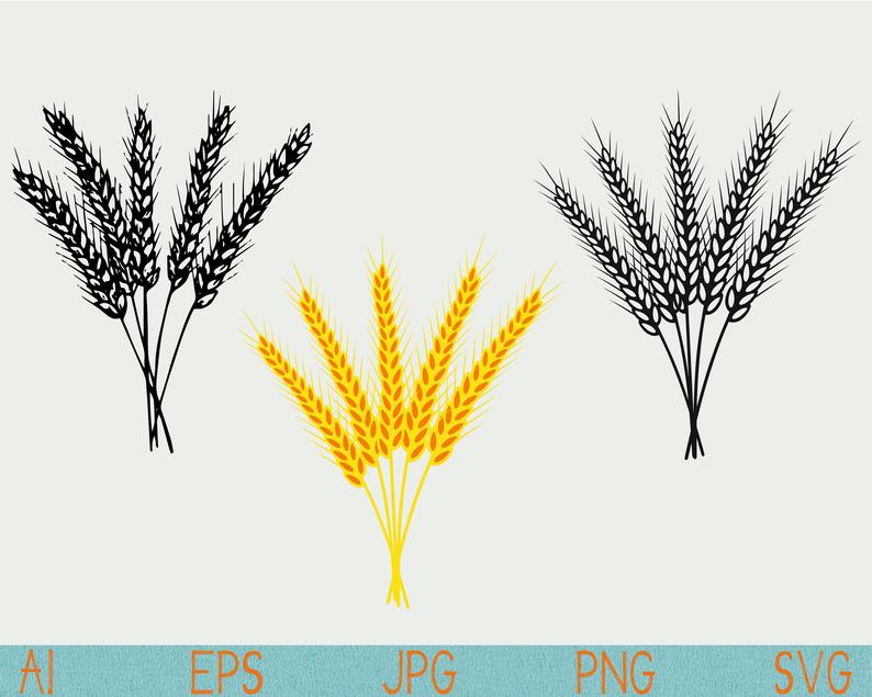 794x635 Ear Wheat Svggolden Spikelets Wheatclip Etsy