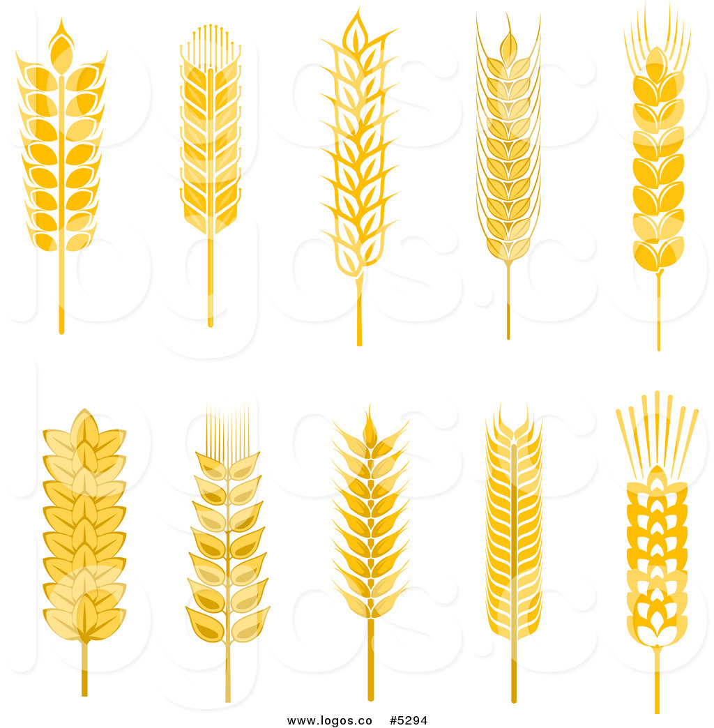 1024x1044 Royalty Free Vector Of Golden Whole Grain Stalk Logos