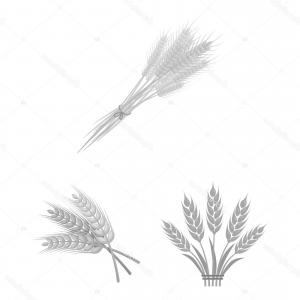 Wheat Stalk Vector at Vectorified.com | Collection of Wheat Stalk ...