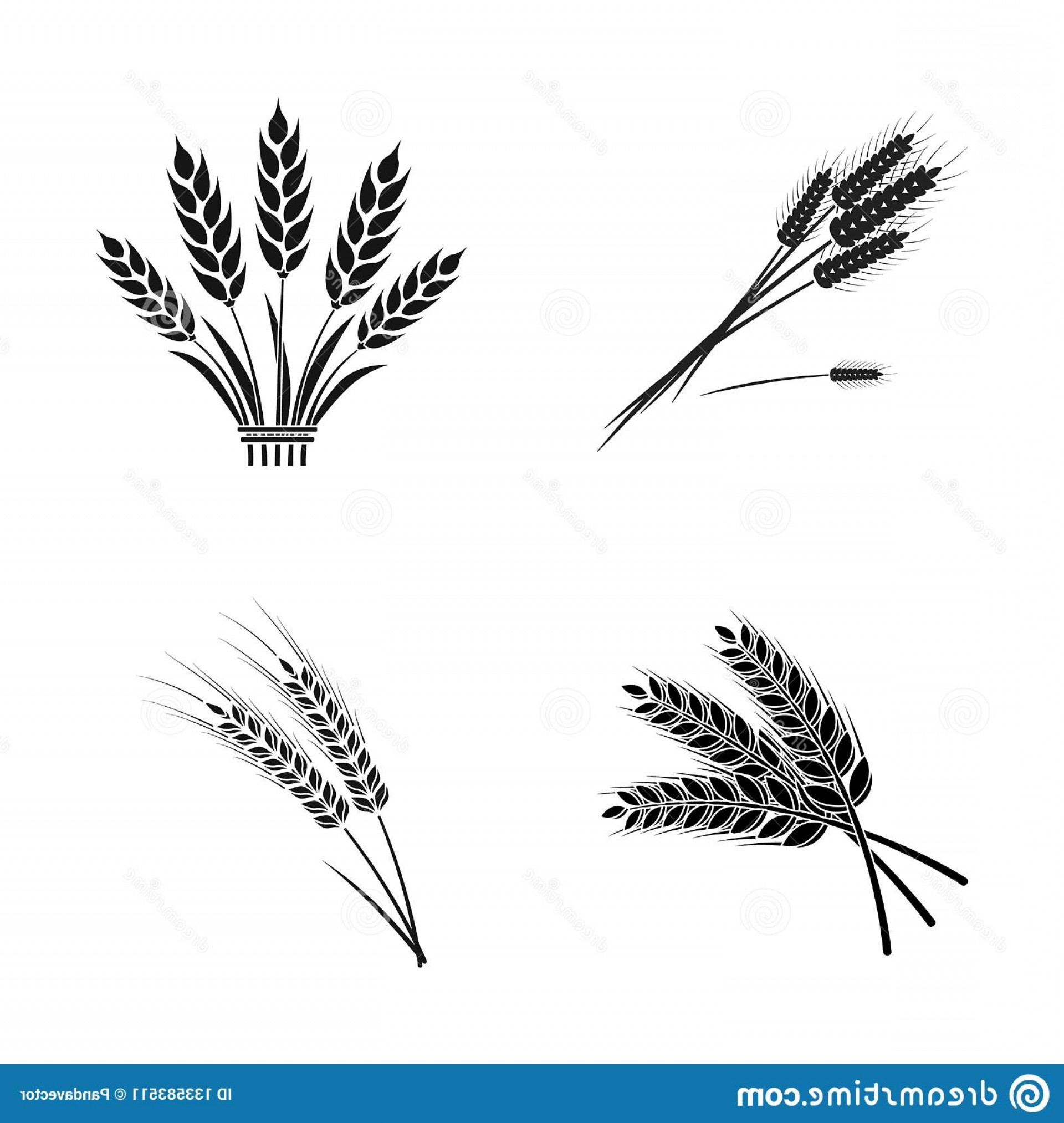 1920x2026 Wheat Stacks Vector Black Hoodamathrun