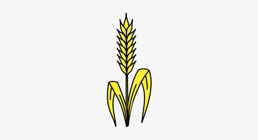 820x447 Wheat Stalk Vector Png