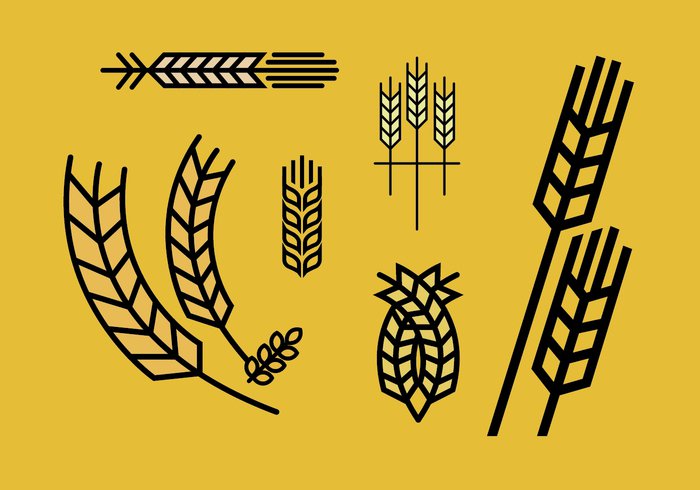 700x490 Wheat Stalk Vector Set Free Vectors Ui Download