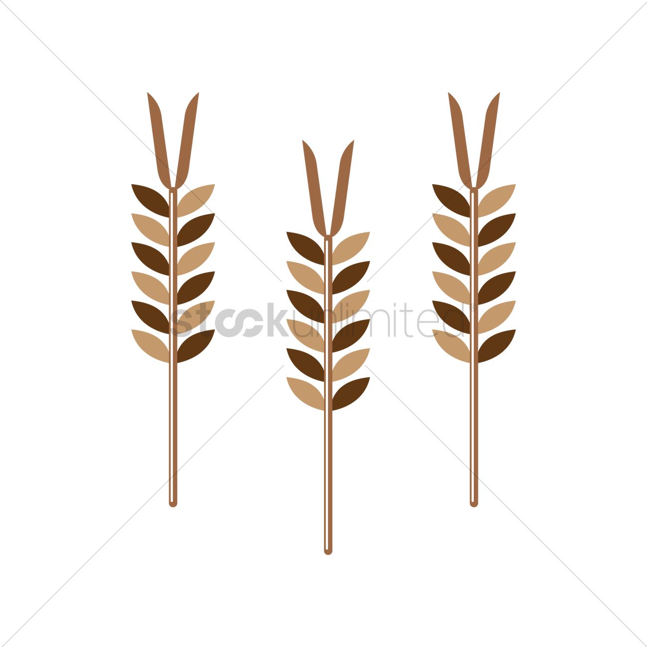 1300x1300 Wheat Stalks Vector Image