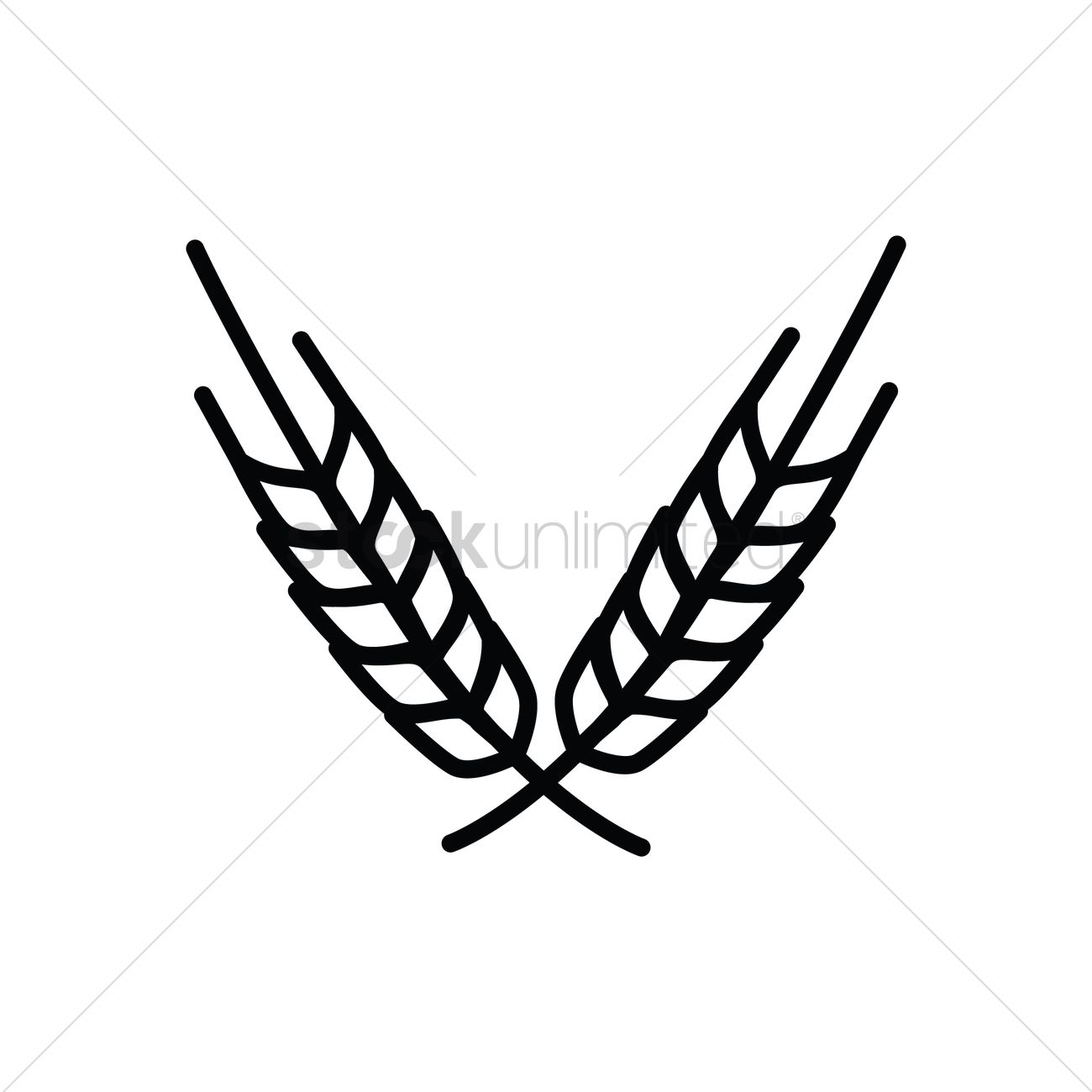 1300x1300 Wheat Stalks Vector Image