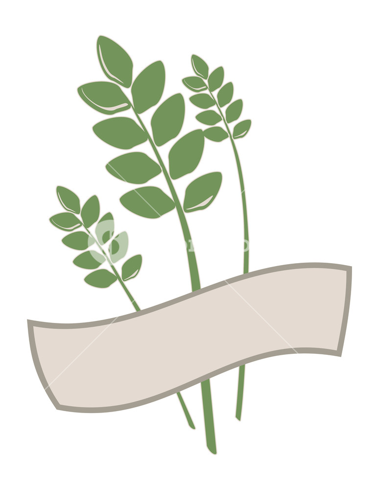 774x1000 Wheat Stalks Behind A Banner With Copy Space Vector Royalty Free