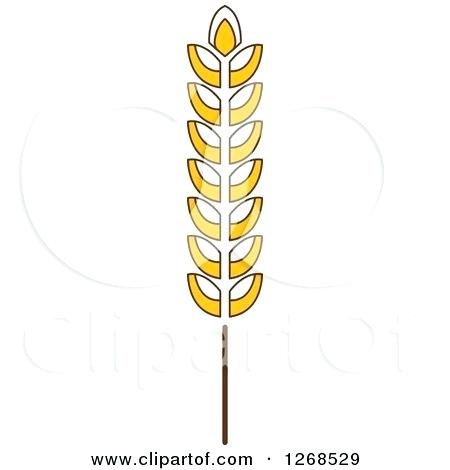 450x470 Wheat Stalk Clipart