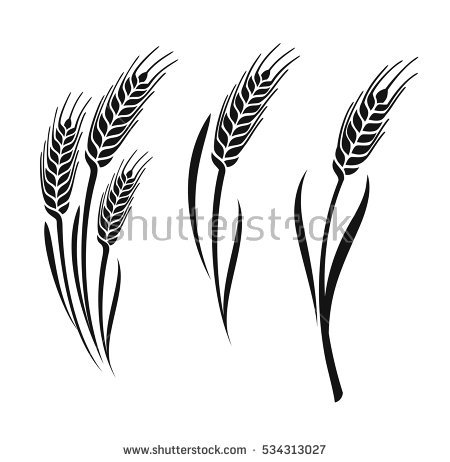 450x462 Free Wheat Clipart Vector