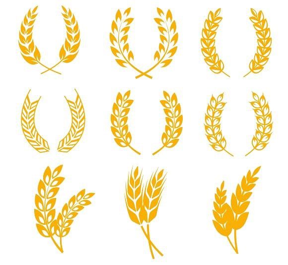 580x534 Pin On Artistic Fun