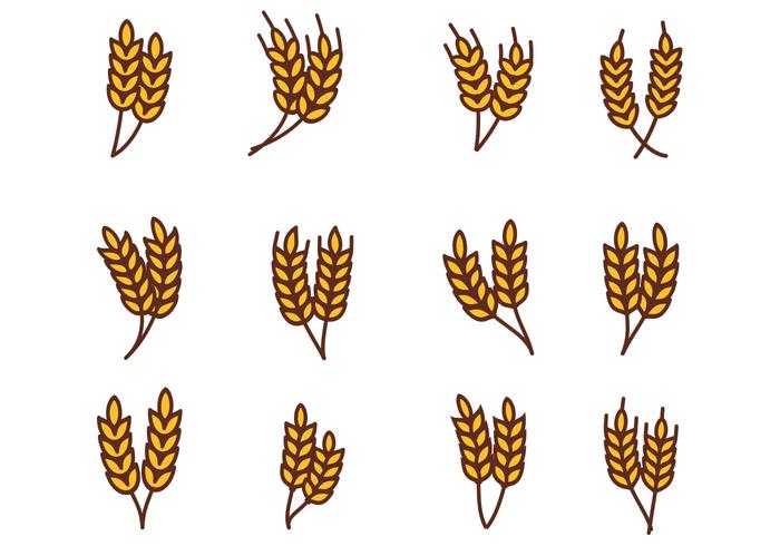 700x490 Wheat Free Vector Art