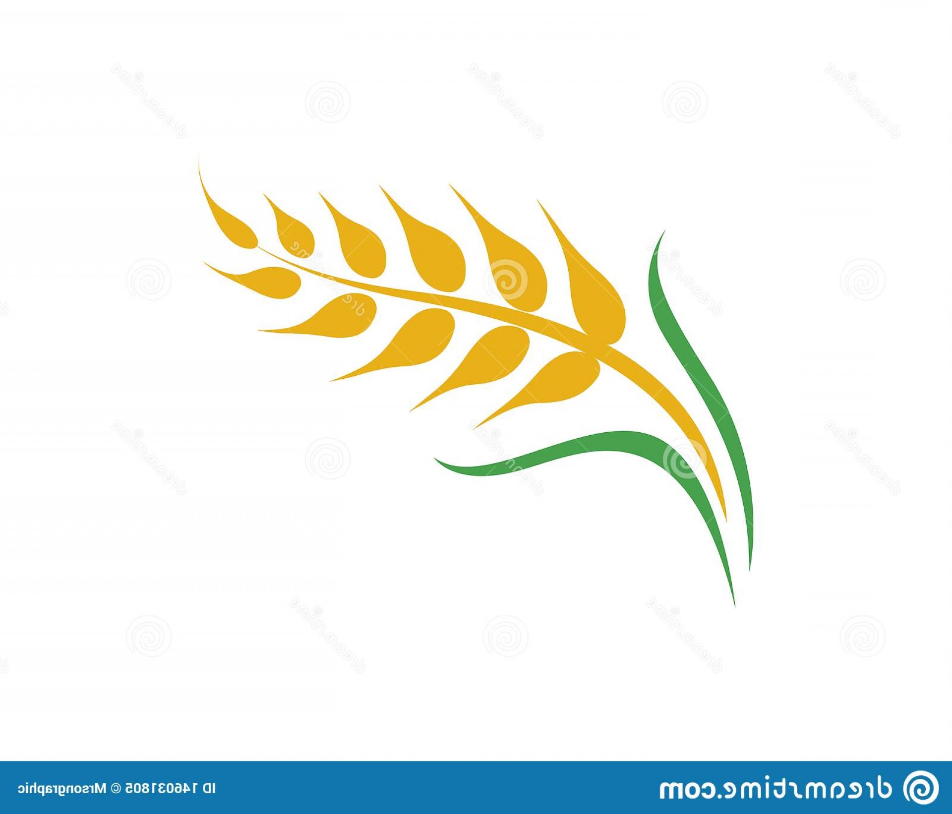 1920x1642 Wheat Vector Art Farming Hoodamath