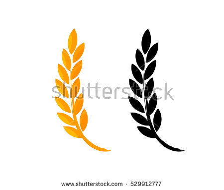 450x383 Wheat Vector Png Images In Collection