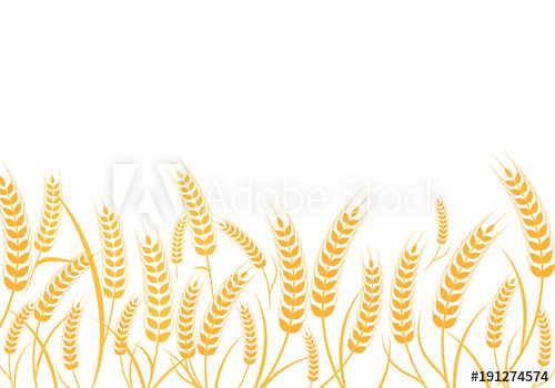 500x350 Agriculture Wheat Vector Illustration Design