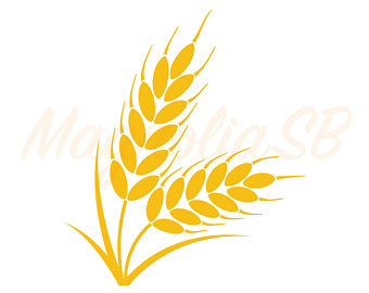 340x270 Wheat Vector Etsy