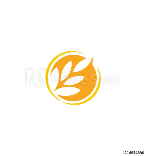 469x500 Wheat Vector Gran Isolated Abstract Orange Color Wheat Ear