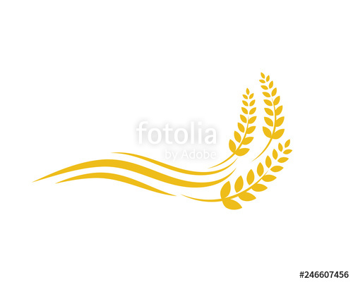 500x400 Agriculture Wheat Vector Stock Image And Royalty Free Vector