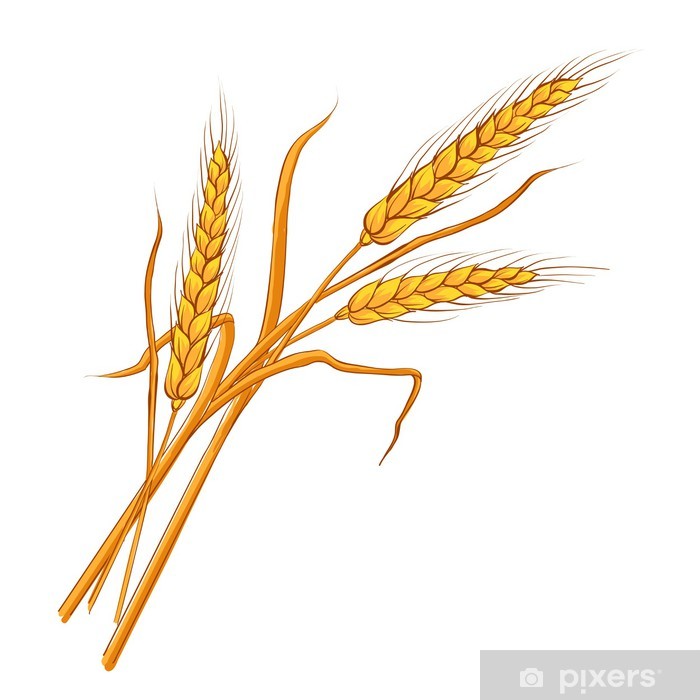 700x700 Ears Of Wheat Vector Poster