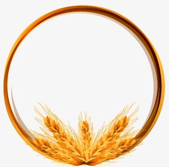 330x327 Golden Wheat Ring Vector Material Free Graphics Uihere