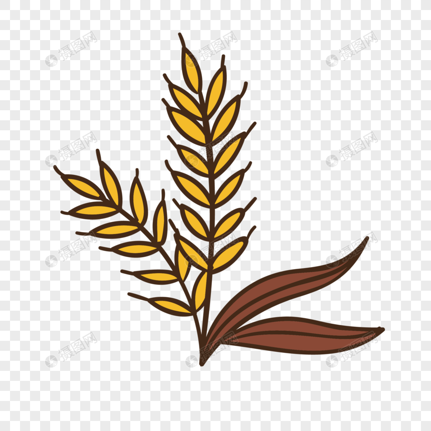 860x860 Golden Wheat Vector Png Image Picture Free Download