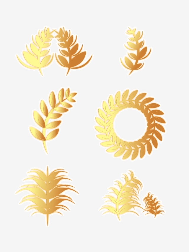 640x856 Vector Wheat, Vector Wheat Ears, White Png Transparent Clipart
