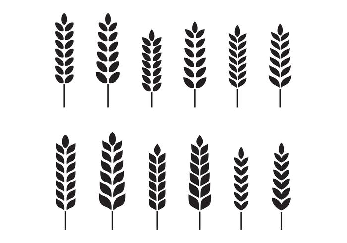 700x490 Wheat Free Vector Art