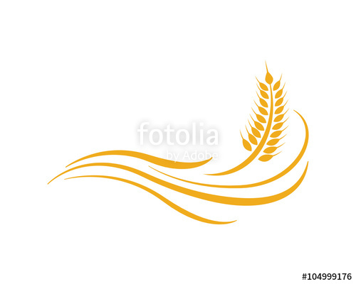 500x400 Wheat Logo Template Stock Image And Royalty Free Vector