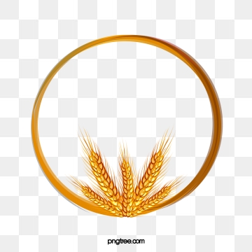 360x360 Wheat Png, Vector, And Clipart With Transparent Background