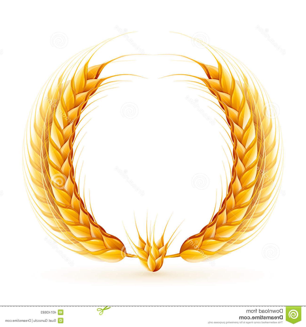 1300x1390 Best Wheat Design Vector Images Vector Images Design