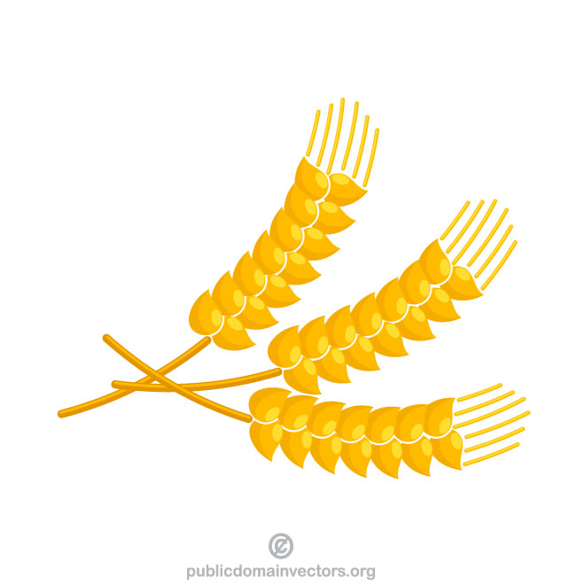 660x660 Wheat Vector Clip Art