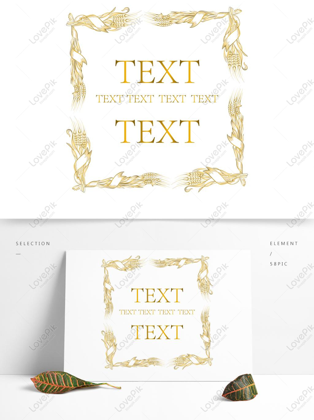 1024x1369 Free Images Download Classic European Golden Wheat Vector