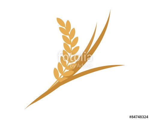500x400 Golden Rice, Wheat Logo Stock Image And Royalty Free Vector