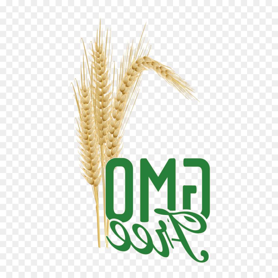 900x900 Hd Wheat Vector Logo On Oval Design Free Vector Art, Images