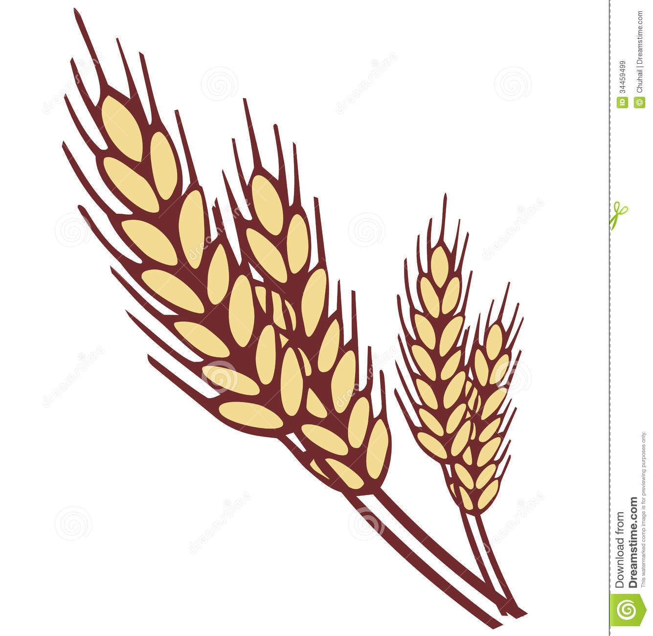 1335x1300 Wheat Clipart Vector