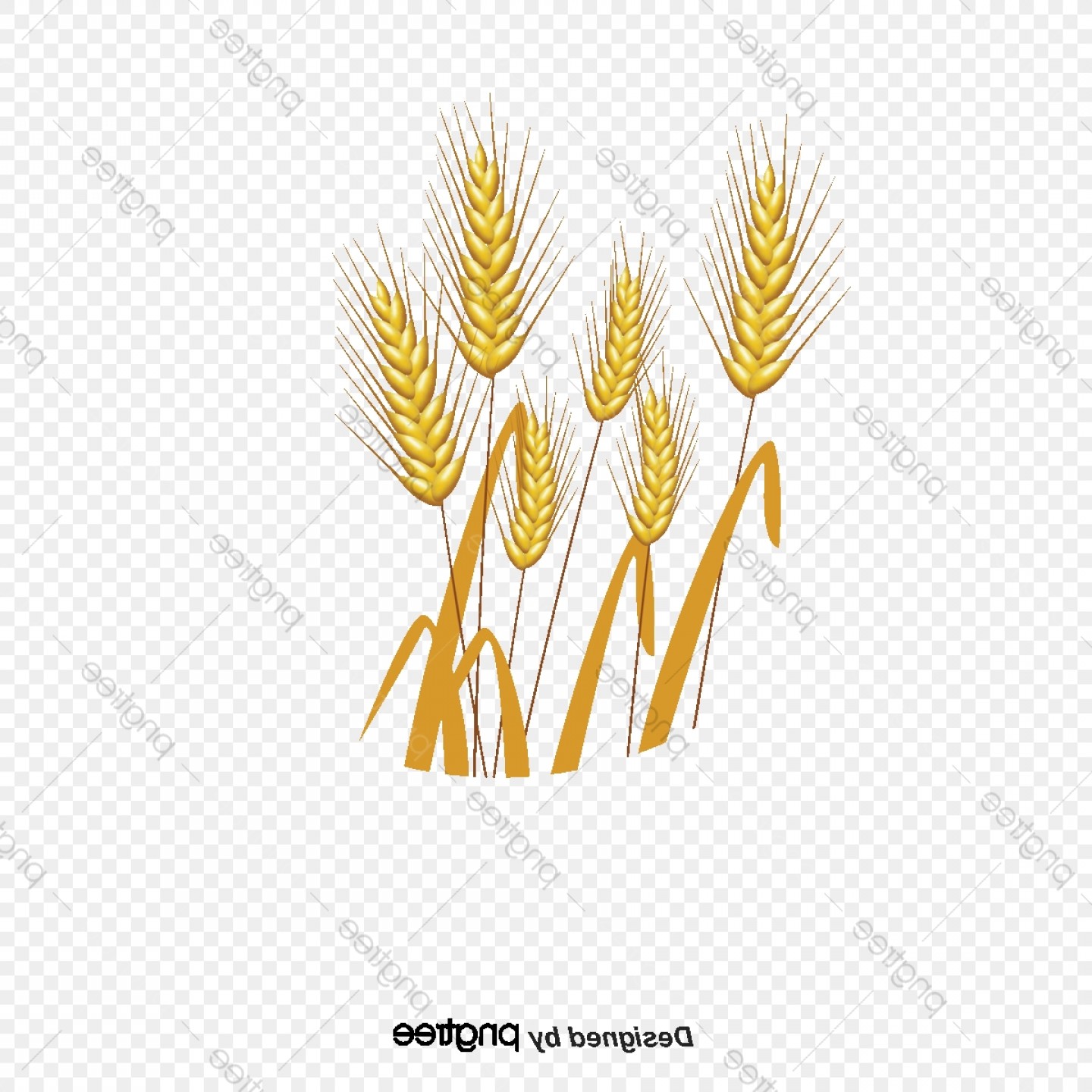 1440x1440 Wheat Vector Art Farming Hoodamath