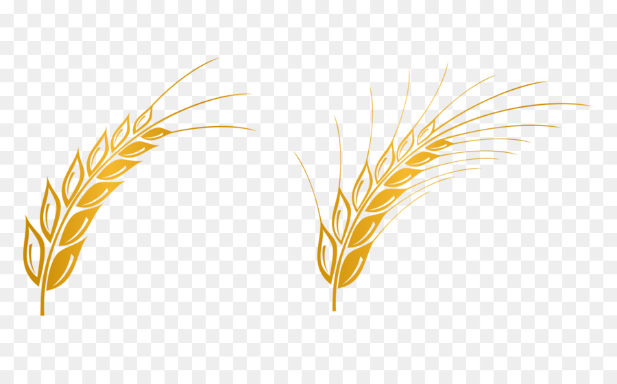 900x560 Wheat Vector Free