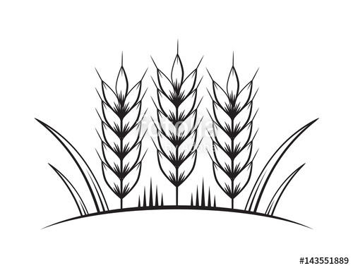 Wheat Vector Art at Vectorified.com | Collection of Wheat Vector Art ...