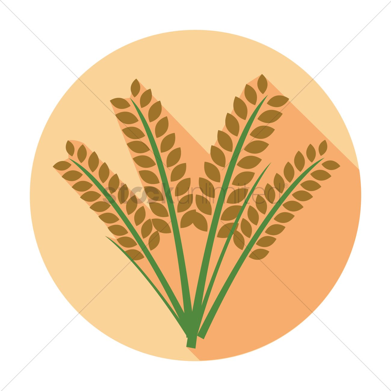 1300x1300 Free Wheat Vector Image