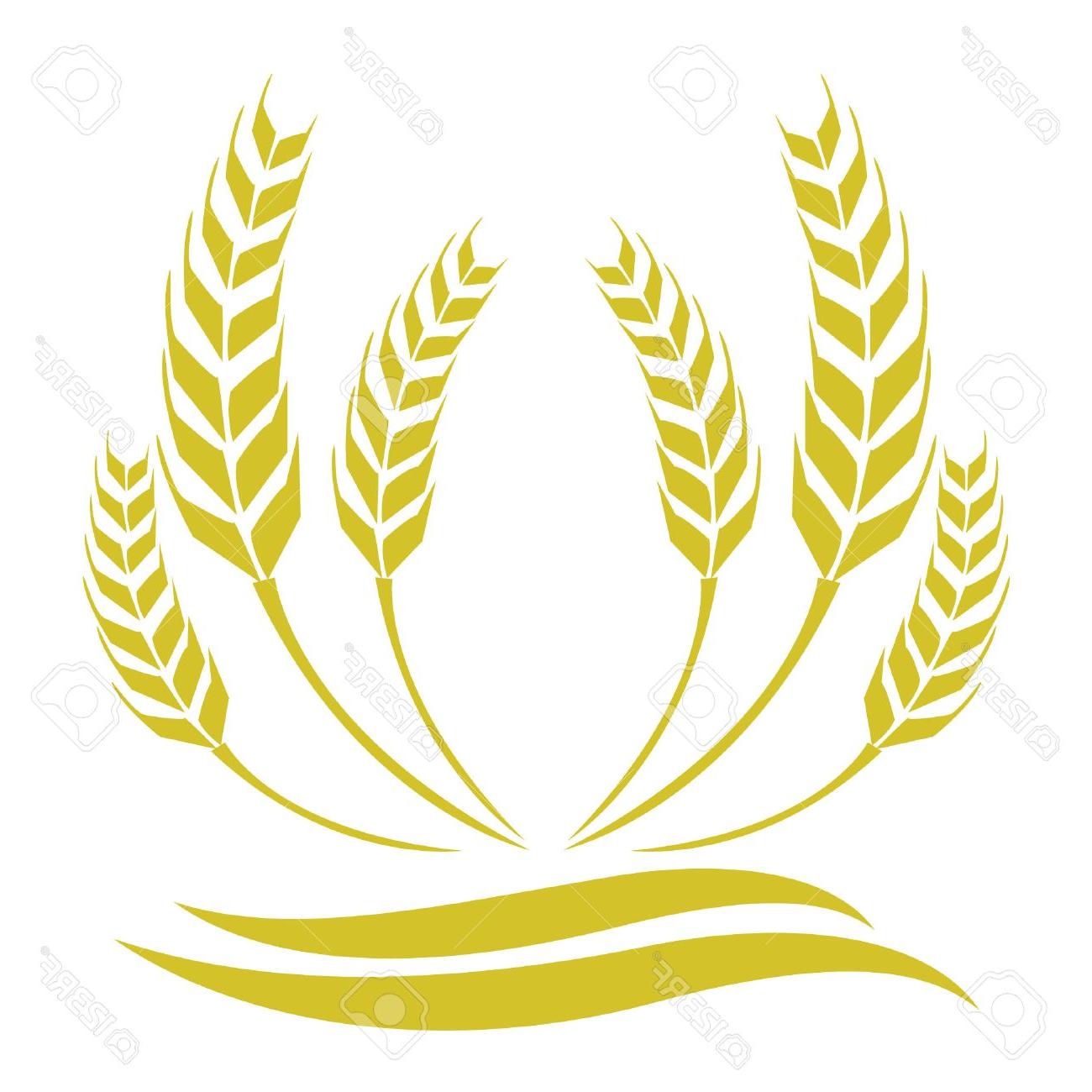 1300x1300 Hd Wheat Vector Clip Art Library Free Vector Art, Images