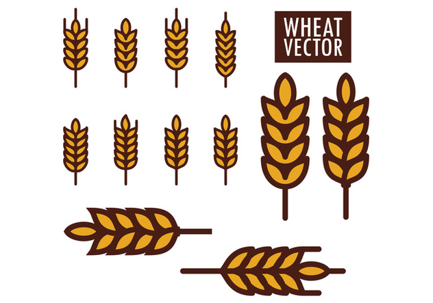 632x443 Wheat Vectors Free Vector Download Cannypic