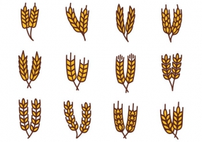 285x200 Wheat Icon Free Vector Graphic Art Free Download